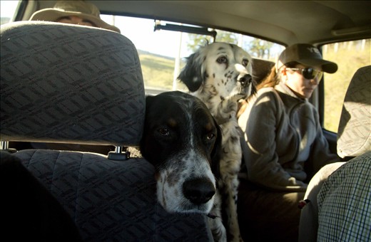We accepted what was supposed to be a ‘short ride up the road.’ Rex jumped in back with a woman and two dogs reluctant to move over. The driver mistook us for Argentines as I started the small talk in Spanish. Eventually, he asked where we were from. “Estados Unidos,” I replied as his jaw dropped, along with the veil of confusion and polite attempts to speak a foreign language. We laughed with our new friends Brad and Jessica as we realized we found fellow gringos so far from home.