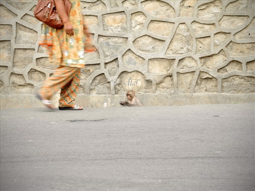 This photo was taken on route to Swoyambhunath or the Monkey Temple, Kathmandu. 