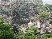 Prayer flags are everywhere in Nepal. Traditionally, prayer flags are used to pr: by maryannpalmer, Views[248]