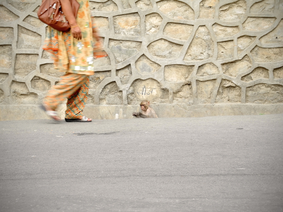 This photo was taken on route to Swoyambhunath or the Monkey Temple, Kathmandu. 