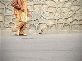 This photo was taken on route to Swoyambhunath or the Monkey Temple, Kathmandu. : by maryannpalmer, Views[243]