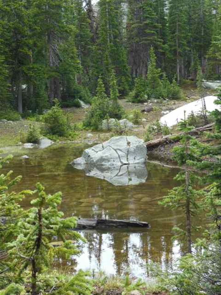 Following a mountain marmot led me over a ridge to this secluded reflecting pond
