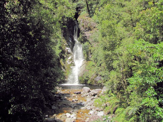 Dorothy Falls lies hidden deep within the mountains of Hokitika.  Quite appropriately for gold fosicking area the freezing cold river flowing from the pool fosters a lovely deep golden color.