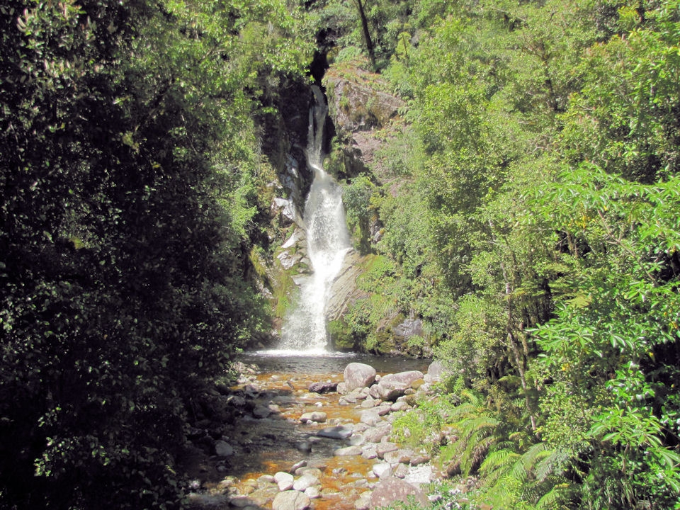 Dorothy Falls lies hidden deep within the mountains of Hokitika.  Quite appropriately for gold fosicking area the freezing cold river flowing from the pool fosters a lovely deep golden color.