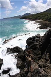 by mason, Views[163]