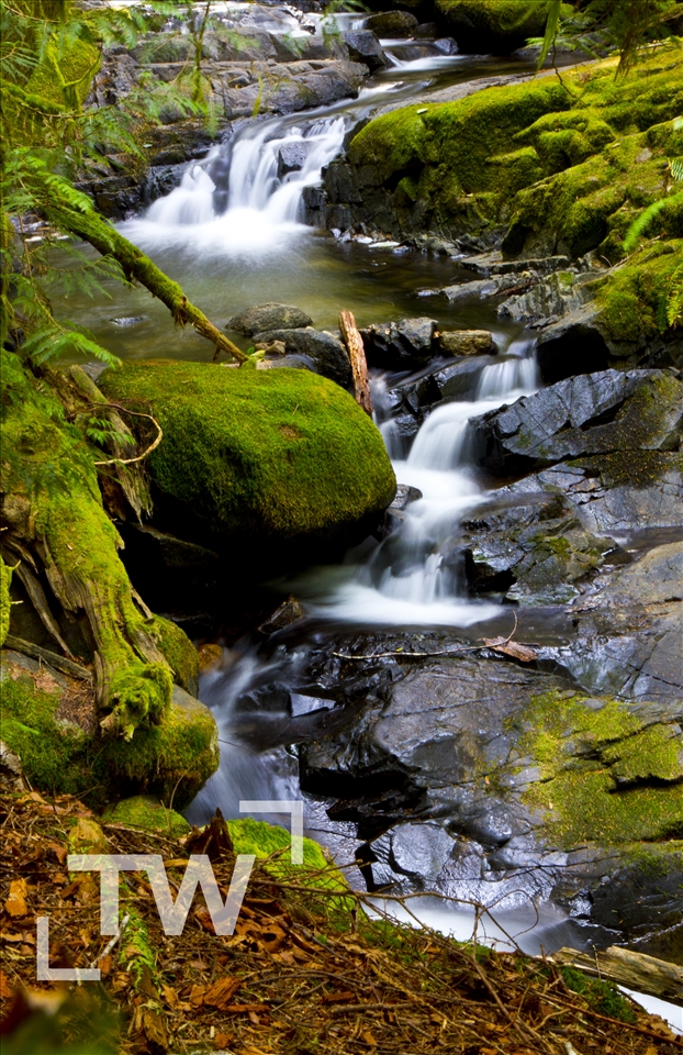 Desolation Sound..honey moon times, canada