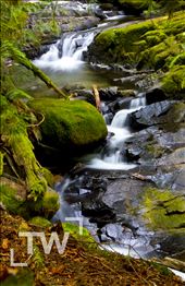 Desolation Sound..honey moon times, canada: by masterwhitey, Views[214]