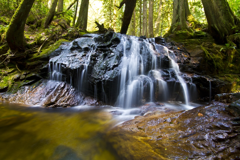 Roberts Creek,BC ,Canada