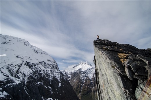 Kea spotting in Fiordland National Park