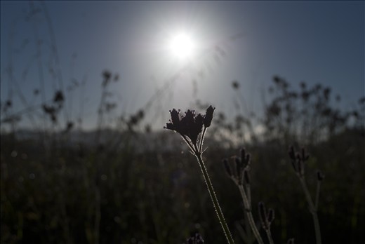 In my dark times, there is always a ray of hope which i had in myself.