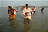 At the Low Tid Time A Father crossing Matla River with a New Born Baby : by matlariver, Views[1172]