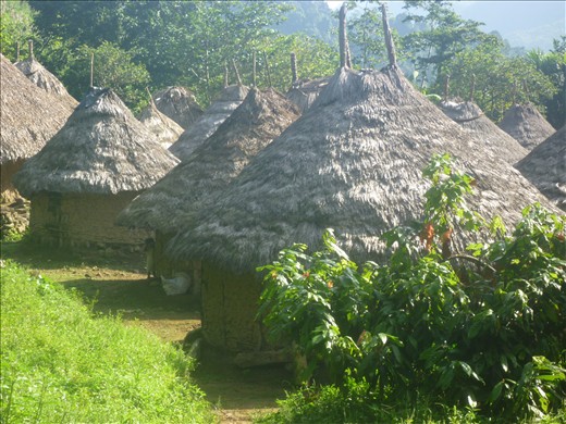 A young indigenous girl shelters herself from foreign visitors behind a hut