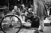 Life in the street seems so natural in Vietnam. People of all generations navigate the unsteady pavement to visit local vendors that are set up on the footpaths around town to gather fresh ingredients for traditional Vietnamese meals. An elderly customer in Hoi An greets one of his favourite sellers before haggling a good deal for his next meal. : by mattahorne, Views[441]