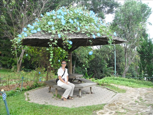 At the Royal Palace Garden