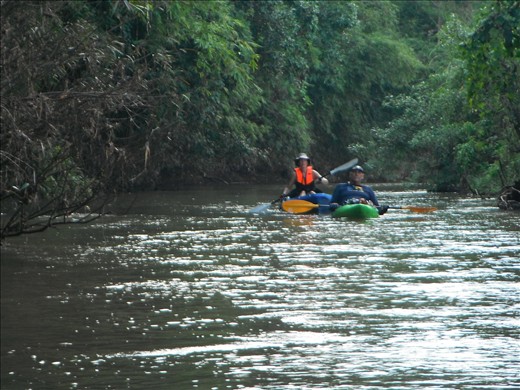 Kayaking down the river
