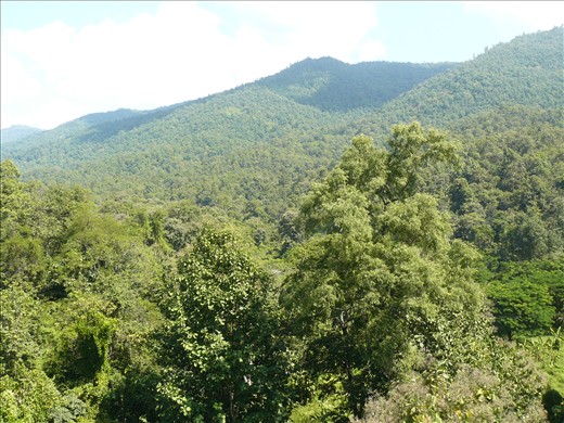 Scenery from the train - Chiang Mai to Lampang