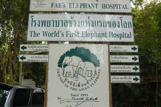 Elephant Hospital Lampang