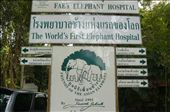 Elephant Hospital Lampang: by mattandnetty, Views[615]