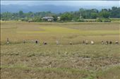 Working the fields: by mattandnetty, Views[553]