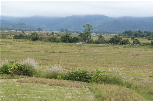The view from our room in Muang Sing