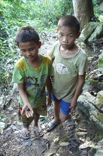 Showing us a beetle that rolls up into a ball