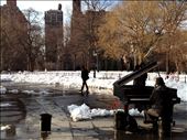 One of Washington Square Park's musicians, commonly known as Piano Guy, plays alone the morning of Valentine's Day, 2014. You can see that some admirers have chosen to thank him with flowers instead of change today.: by matthammen, Views[468]