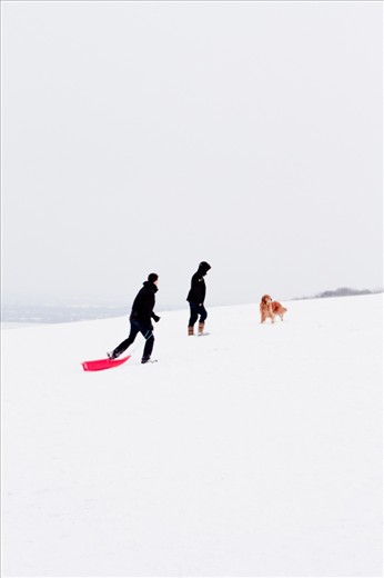 Again, working with the number three and the form of a triangulation, this picture was taken on the South Downs, in Sussex, during that same weekend of snow. I was drawn to the balance of colour between that of the sledge and the colour of the dog, of the direction of which each three is looking on the incline of the slope.