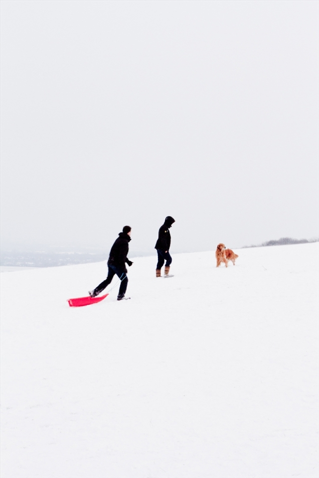 Again, working with the number three and the form of a triangulation, this picture was taken on the South Downs, in Sussex, during that same weekend of snow. I was drawn to the balance of colour between that of the sledge and the colour of the dog, of the direction of which each three is looking on the incline of the slope.