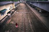 When there are no trains, the tracks are Sri Lanka's largest footpaths: by matthewlawry, Views[446]