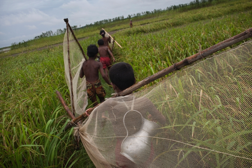 DAKKIN PATIL BARI, BANGLADESH - August 2011. Children make there way down to the embankment to lower their nets into the fast flowing currents.The Monsoon season’s raging waters brings withit increased levels of fish.