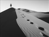 Climbing one the many 350 ft. high sand dunes near Merzouga, Morocco.: by matthoffman, Views[283]