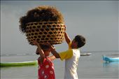 seaweed farmers on nusa lembongan: by mattmac, Views[177]