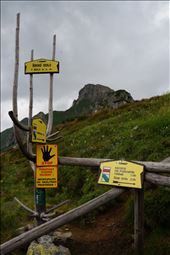 by matto66, Views[156]