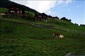 by matto66, Views[218]