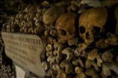 Back in the 1700's Paris ran out room in the cemeteries so they did the logical thing and started artistically stacking up old bones in the old salt mine tunnels below.: by matto66, Views[468]