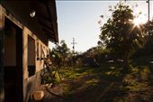 As the sun begins to set we found ourselves passing through a small chicken farm. After speaking to a few of the residents we found out that the sole purpose for this community was to run the chicken farm. Self-sufficient and with the nearest shop being over an hour drive away they are seemingly detached from the world.: by mattquarta, Views[346]