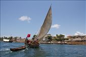 The most common sight in the waters around Lamu. The Dhow, a beautiful vessel.: by mattsjournal, Views[261]
