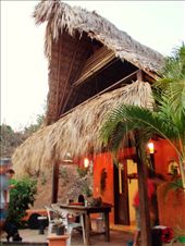 by mattso, Views[683]