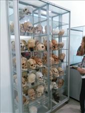 by mattso, Views[232]