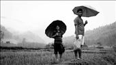 Cousins Ram and Saroj walk a long way home for Dashain celebrations in rural Nepal.: by mattwhelantravels, Views[597]