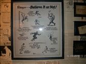 feats ripleys: by maureenrobinson, Views[285]