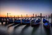 Sunrise in San Marco's bank: by mauryaround, Views[229]