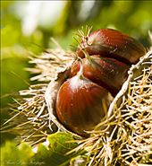 by mavision, Views[246]