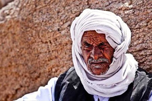 Seeking shelter from the baking heat 