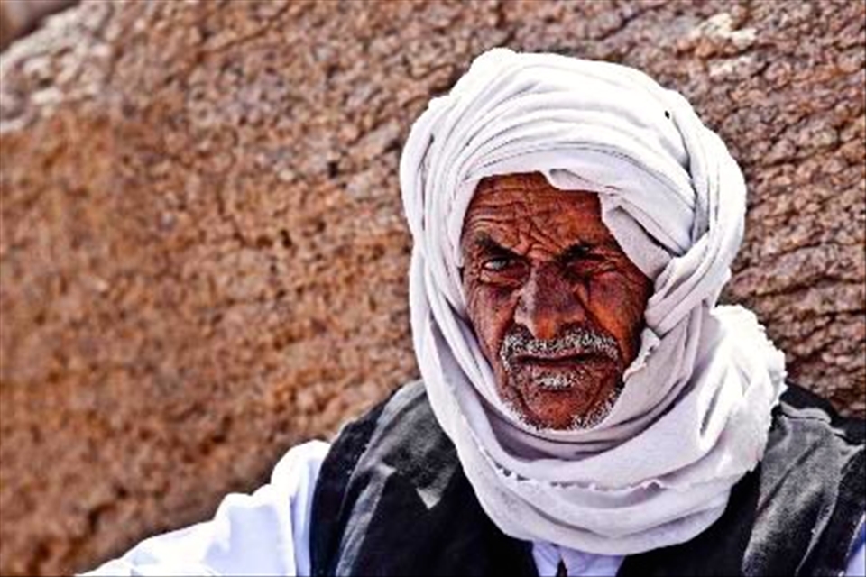 Seeking shelter from the baking heat 