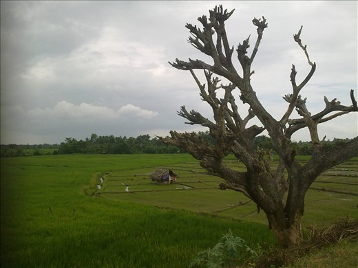 Natural beauty of Hambantota