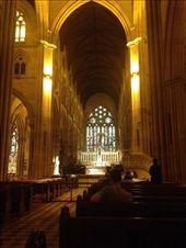 Holy Moly: by maxvedder, Views[241]