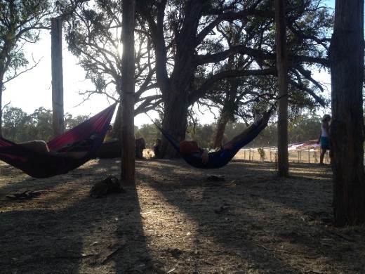 Hammocks in the Eucs
