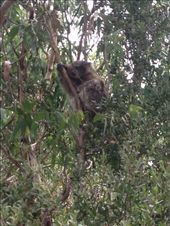 by maxvedder, Views[182]