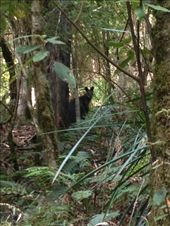 by maxvedder, Views[316]